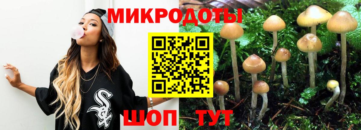 Псилоцибиновые грибы Psilocybe  Псилоцибиновые грибы GOLDEN TEACHER  Вход с VPN  Костомукша 
