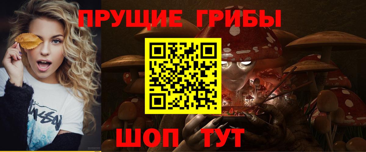 Псилоцибиновые грибы прущие грибы Костомукша
